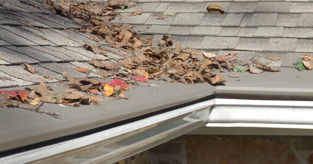 New Year, New Home Improvements: Why Gutter Protection Should Be Top of Your List in 2025